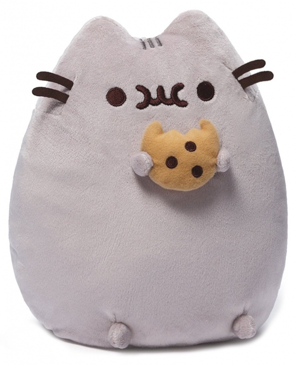 Pusheen With Cookie